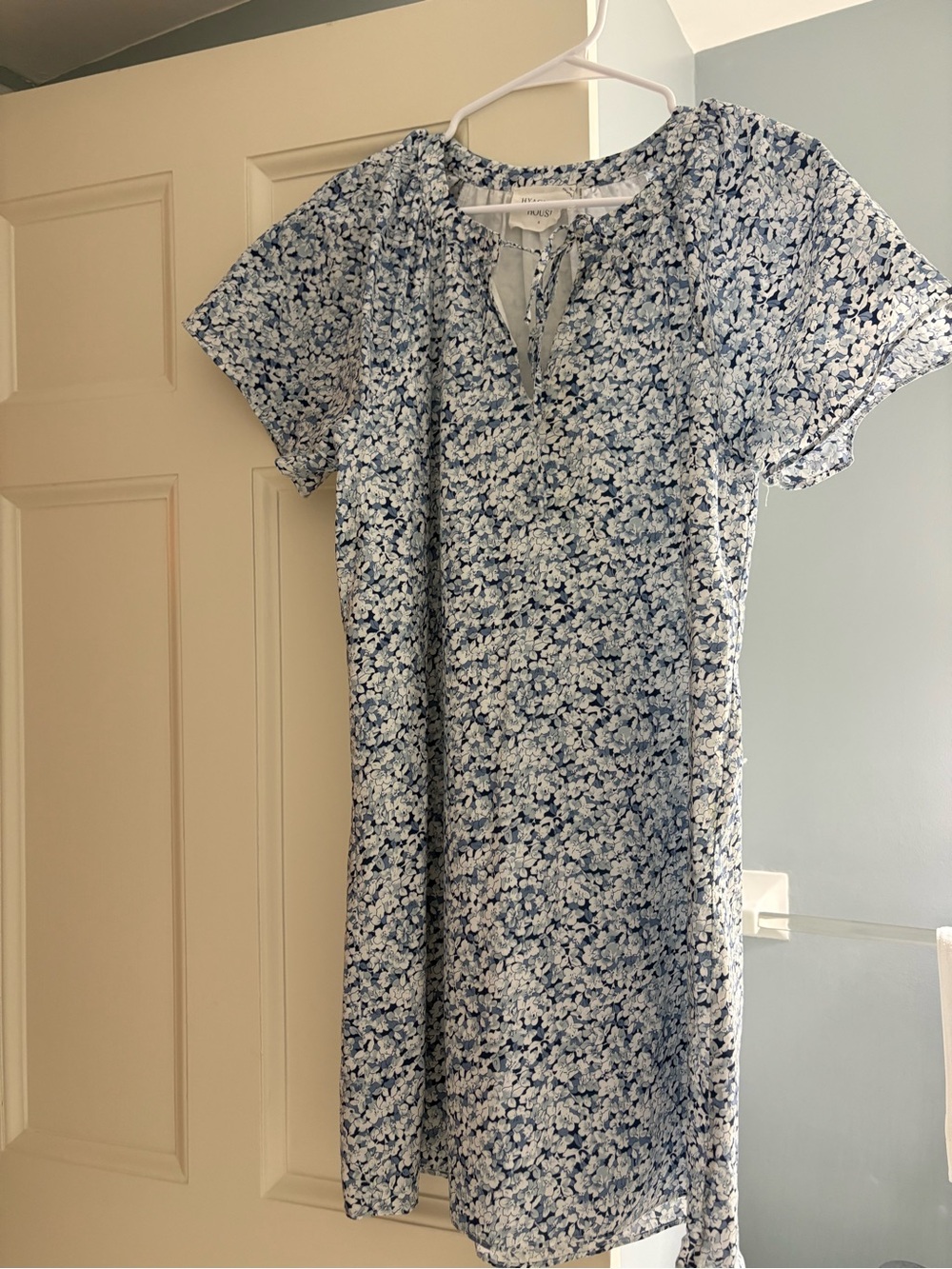Tuckernuck Blue and White Floral Mini Dress